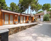 Resale - Detached Villa - Pinar de Campoverde - Pinar de Campoverde - Village