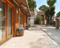 Resale - Detached Villa - Pinar de Campoverde - Pinar de Campoverde - Village