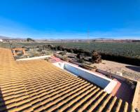 Resale - Detached Villa - Villena - Rural location