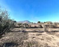 Resale - Detached Villa - Villena - Rural location