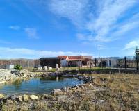 Resale - Detached Villa - Villena - Rural location