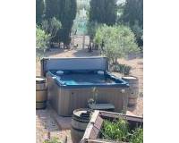Resale - Detached Villa - Villena - Rural location