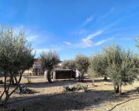 Resale - Detached Villa - Villena - Rural location