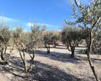 Resale - Detached Villa - Villena - Rural location