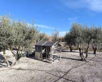Resale - Detached Villa - Villena - Rural location