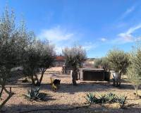 Resale - Detached Villa - Villena - Rural location