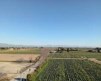 Resale - Duplex - Daya Vieja