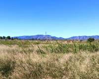 Resale - Finca - Albaida