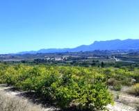 Resale - Finca - Albaida