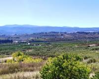 Resale - Finca - Albaida