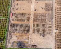 Resale - Finca - Albatera