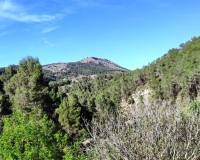 Resale - Finca - Alcoy