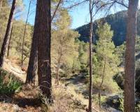 Resale - Finca - Alcoy