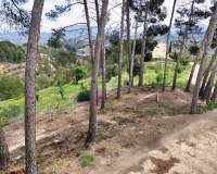 Resale - Finca - Cocentaina