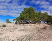 Resale - Finca / Country Property - Caudete