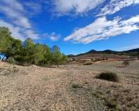 Resale - Finca / Country Property - Caudete