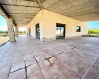 Resale - Finca / Country Property - Elche - Matola