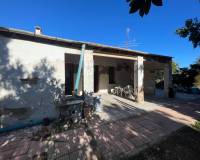Resale - Finca / Country Property - Elche