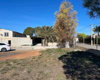 Resale - Finca / Country Property - Elche