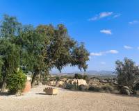 Resale - Finca - Country Property - Fortuna
