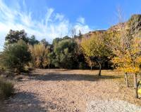 Resale - Finca - Country Property - Fortuna