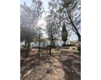 Resale - Finca - Country Property - Fortuna