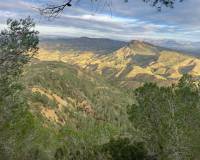 Resale - Finca - Country Property - Gea Y Truyols