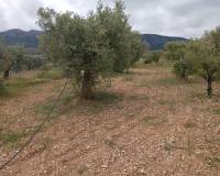 Resale - Finca / Country Property - Yecla