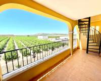 Resale - Penthouse - Algorfa