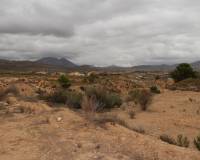 Resale - Plots and Land - Abanilla