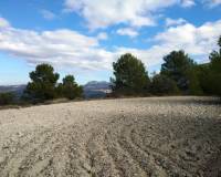 Resale - Plots and Land - Benillup