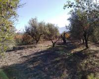 Resale - Plots and Land - Benimarfull - benimarfull