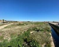 Resale - Plots and Land - Catral - Catral Alicante