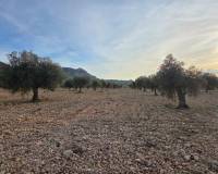 Resale - Plots and Land - Jumilla