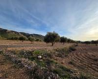 Resale - Plots and Land - Jumilla