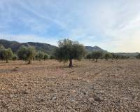 Resale - Plots and Land - Jumilla