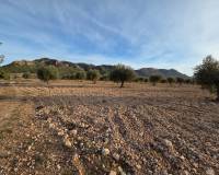 Resale - Plots and Land - Jumilla