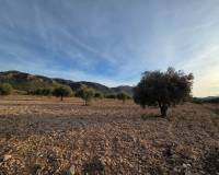 Resale - Plots and Land - Jumilla