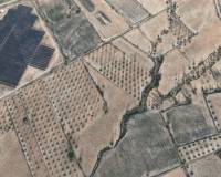 Resale - Plots and Land - Jumilla