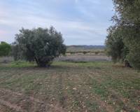 Resale - Plots and Land - Jumilla