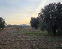 Resale - Plots and Land - Jumilla