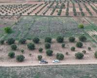 Resale - Plots and Land - Jumilla