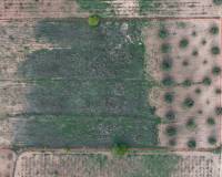 Resale - Plots and Land - Jumilla