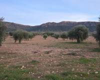 Resale - Plots and Land - Jumilla