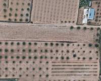 Resale - Plots and Land - Jumilla