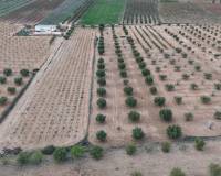 Resale - Plots and Land - Jumilla