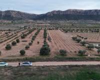 Resale - Plots and Land - Jumilla