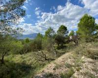 Resale - Plots and Land - Millena