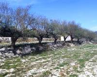 Resale - Plots and Land - Planes