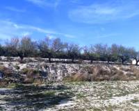 Resale - Plots and Land - Planes